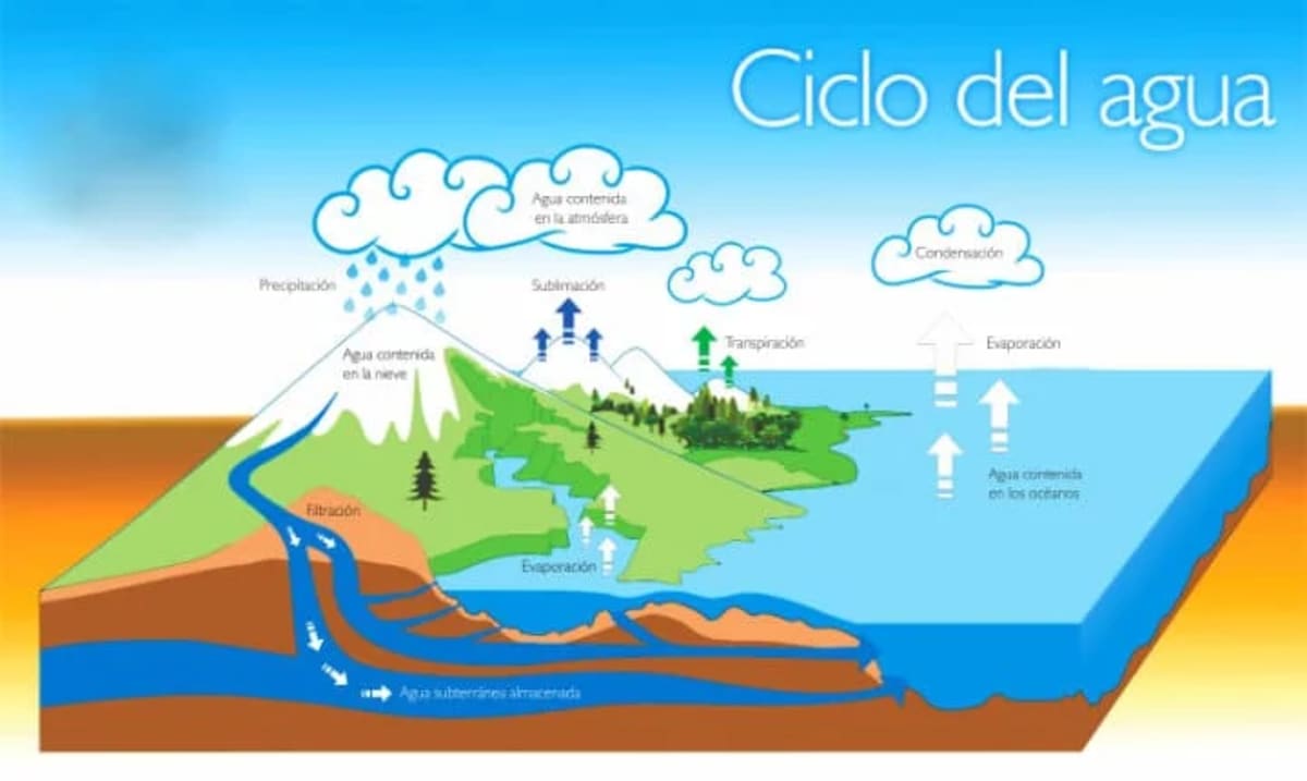 Ilustración que muestra las fases del ciclo del agua, incluyendo evaporación, condensación, precipitación, escorrentía e infiltración, representando cómo el agua circula entre los océanos, la tierra y la atmósfera
