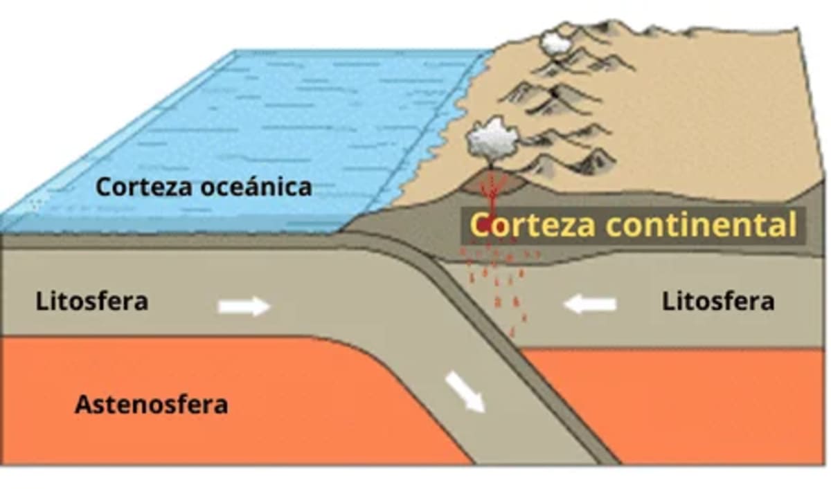 Ilustración que muestra la corteza continental y su ubicación en relación con la corteza oceánica y la astenosfera