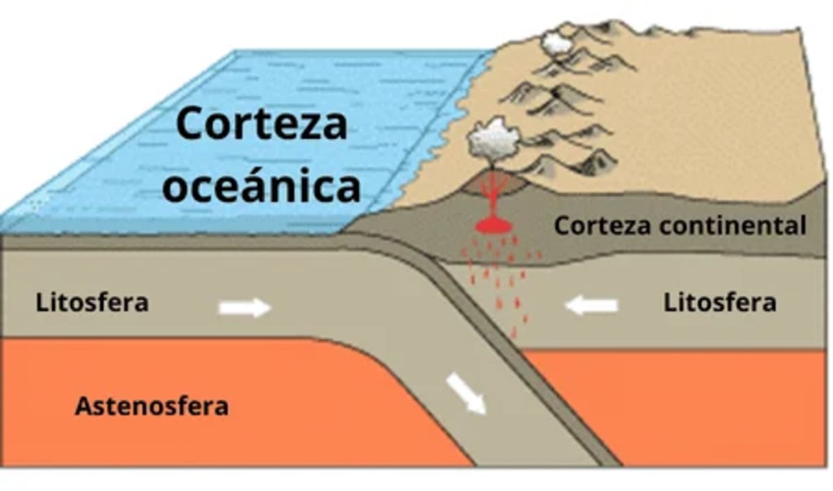 Corteza oceánica en comparación con la corteza continental