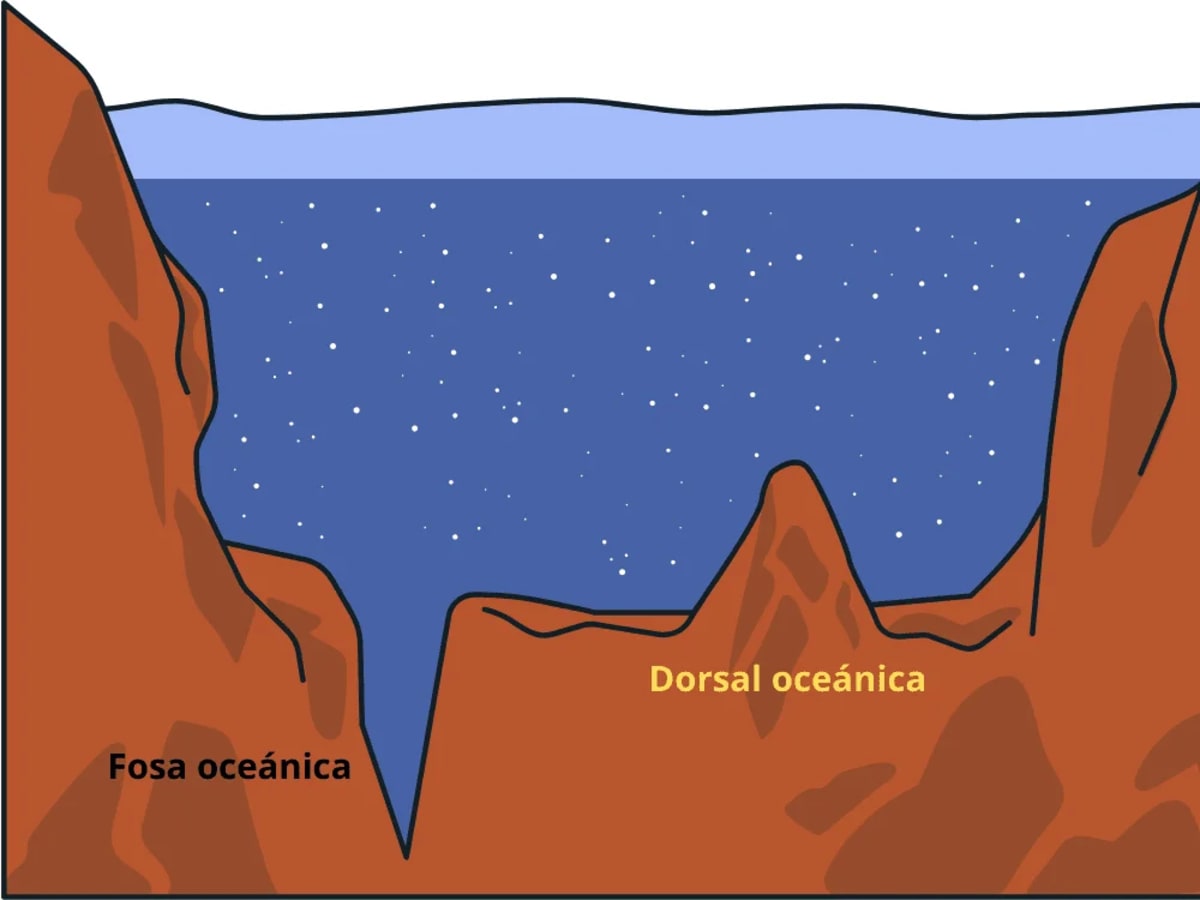 Ilustración de una dorsal oceánica y su ubicación en el fondo marino, destacando la geología submarina