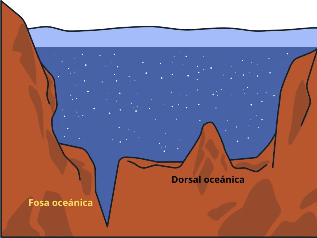 Representación gráfica de una fosa oceánica en el fondo del océano, mostrando la profundidad y estructura