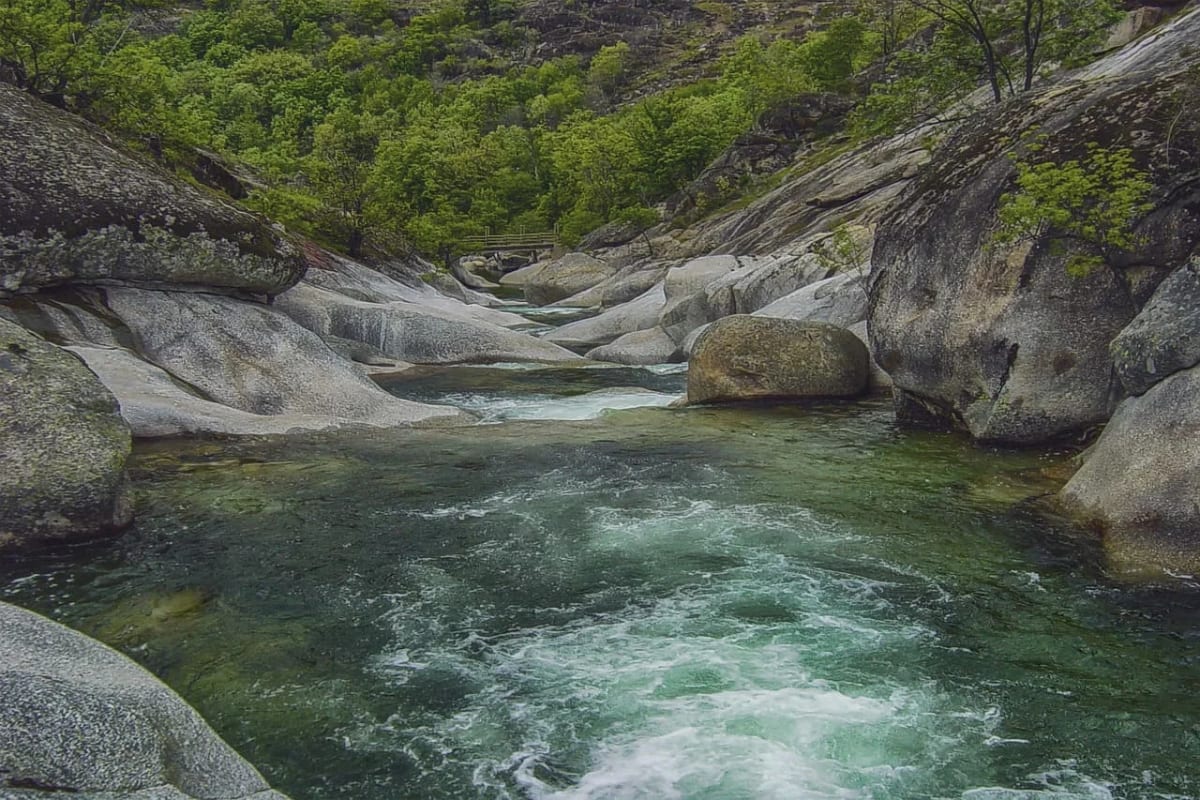 Río de agua dulce fluyendo entre rocas y vegetación, en un entorno natural rodeado de árboles