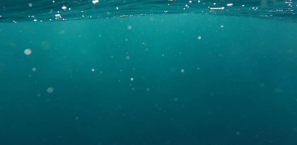 Vista submarina de agua cristalina con burbujas flotando, representando corrientes marinas.