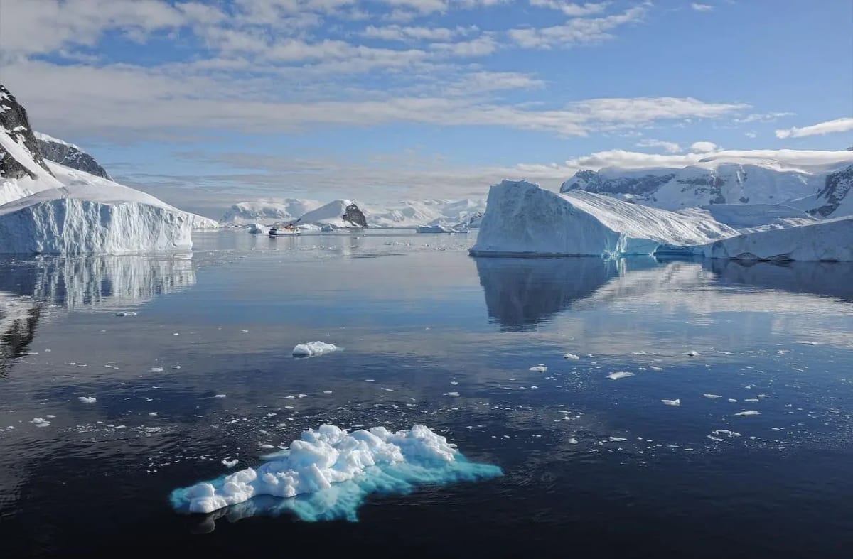 Icebergs flotando en el océano bajo un cielo despejado, reflejando el impacto del cambio climático.