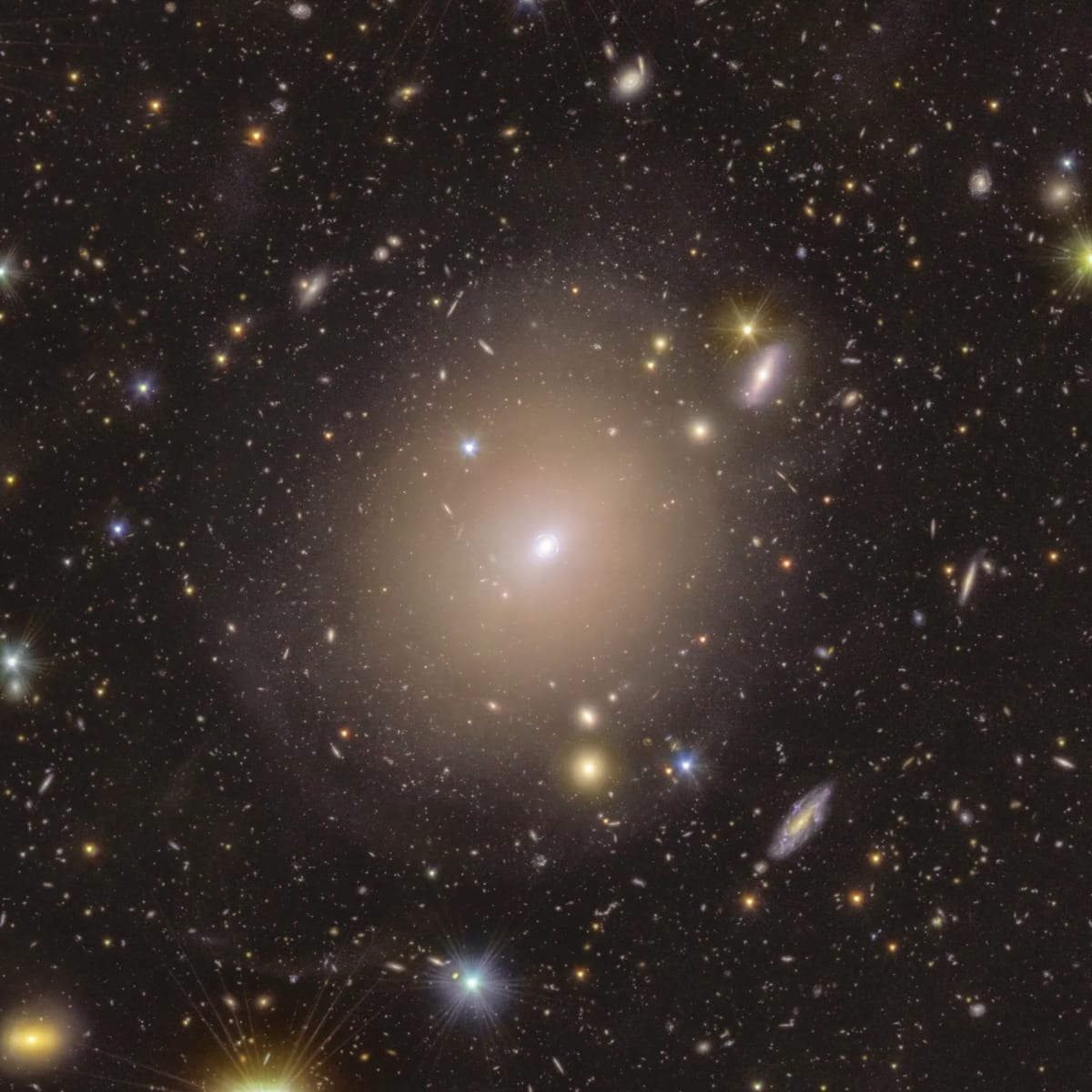 Un anillo de Einstein captado por Euclid, mostrando el fenómeno de la lente gravitacional en el centro de la galaxia NGC 6505.