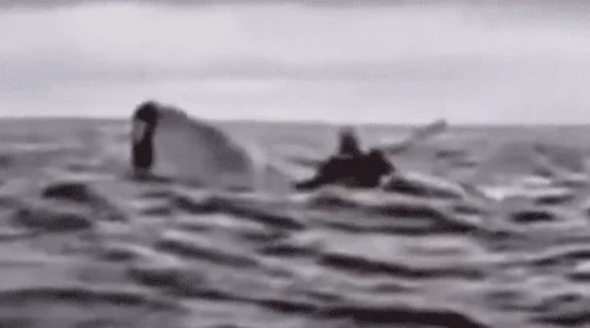 Una ballena jorobada emergiendo del agua, capturada en el momento exacto cuando se acerca al kayak de un joven en las costas de Chile.