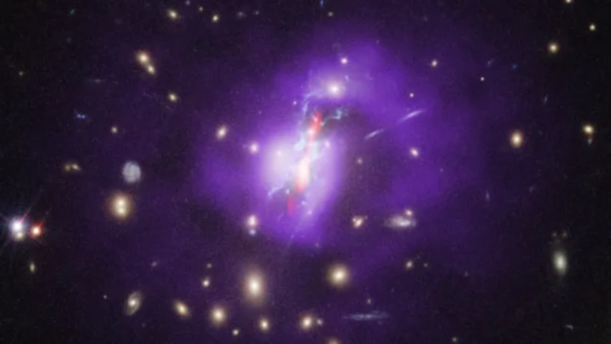 Imagen del cúmulo Fénix combinando datos del telescopio Hubble, el observatorio de rayos X Chandra y el radiotelescopio Very Large Array.