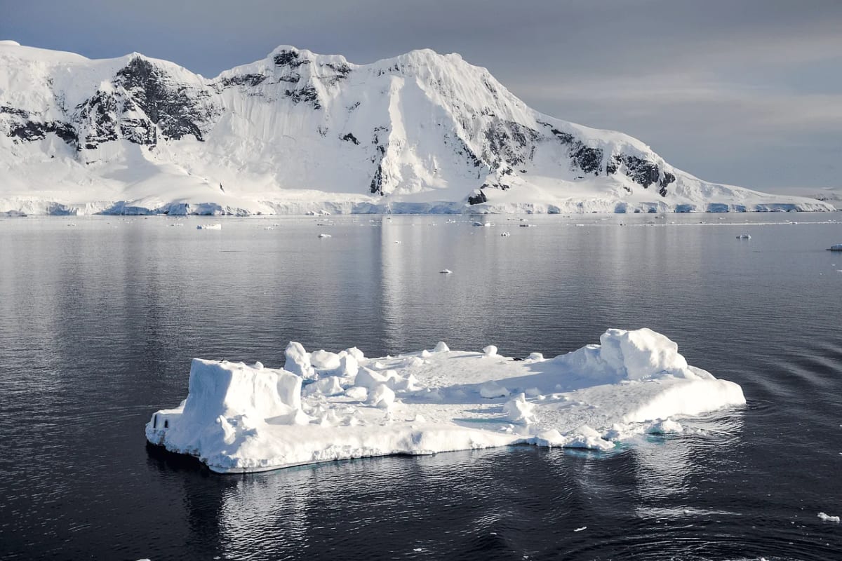 Paisaje de la Antártida con icebergs flotando en el océano y montañas cubiertas de nieve al fondo.