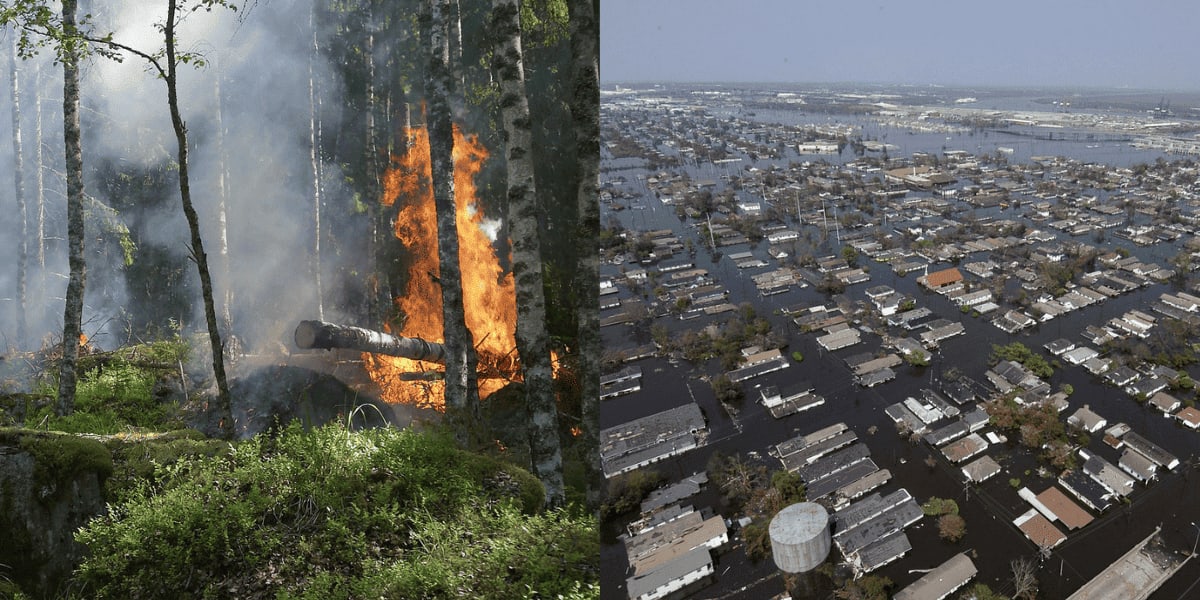Incendios forestales y inundaciones, dos de las consecuencias más devastadoras del cambio climático.