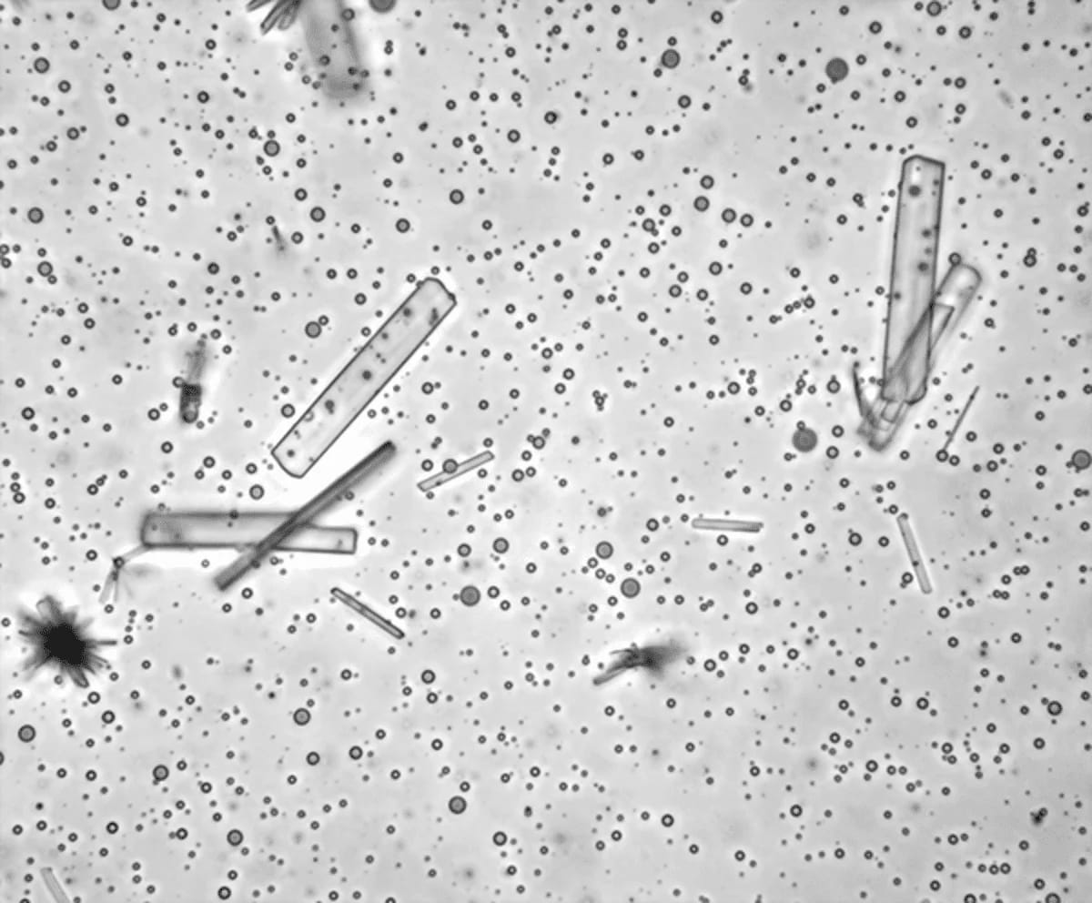 Cristales de tartrato de calcio junto a microgotas de poliéster en condiciones prebióticas.