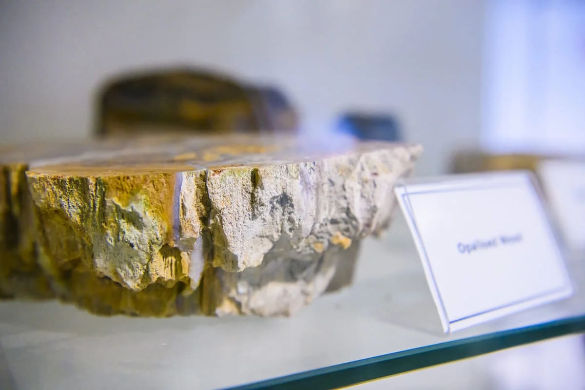 Muestra de roca que conserva huellas químicas de la protocorteza terrestre.