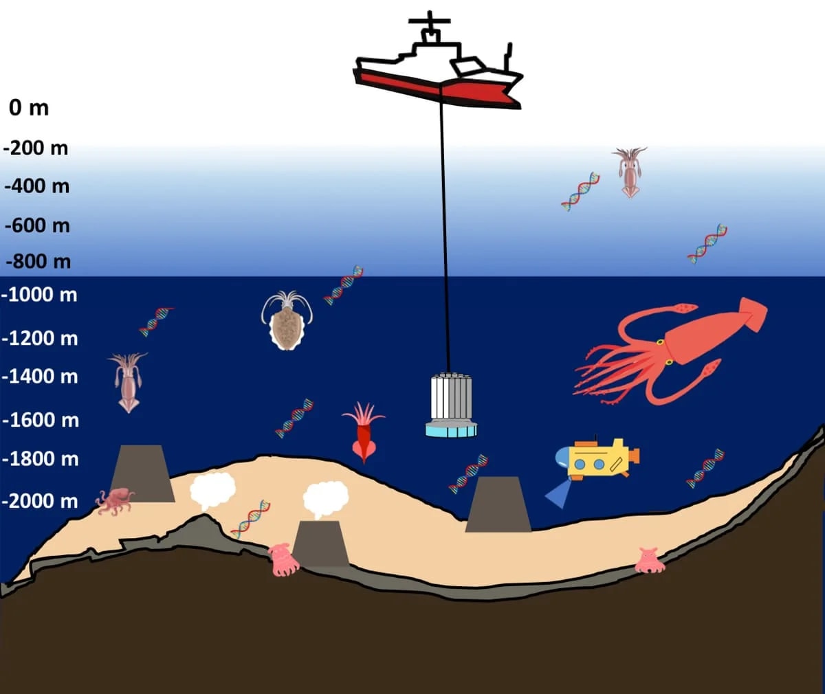 Ilustración de la técnica de codificación de barras metabólica del ADN ambiental, comparada con el uso de cebos en la pesca