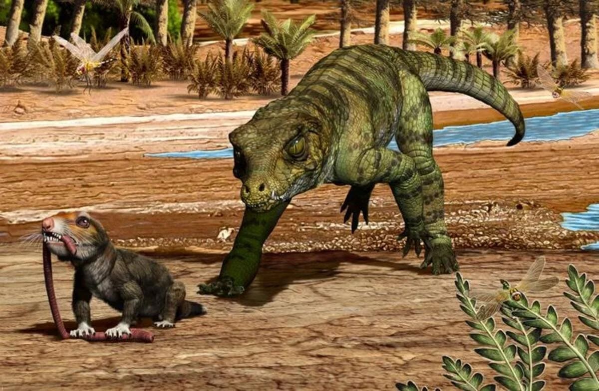 Reconstrucción artística de un antiguo cocodrilomorfo a punto de capturar a un pequeño mamífero en lo que hoy es el norte de Argentina, hace más de 200 millones de años.