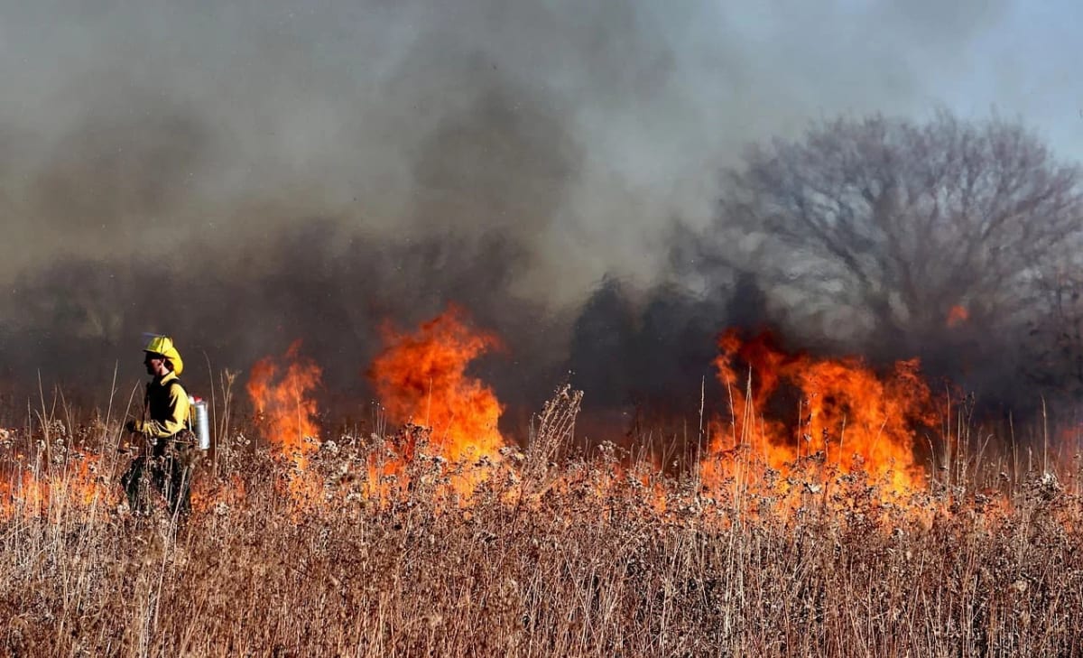 Incendio forestal en zona seca con bombero combatiendo las llamas, ilustrando el aumento de eventos extremos por el cambio climático.