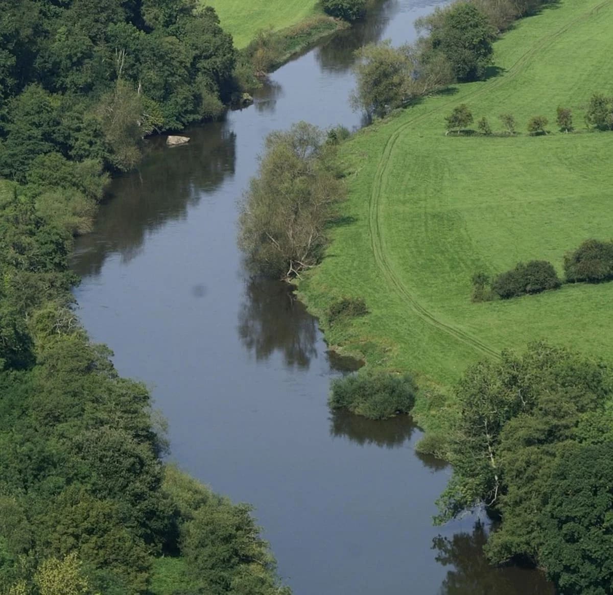 Vista aérea del río Wye serpenteando entre los bosques del Bosque de Dean.