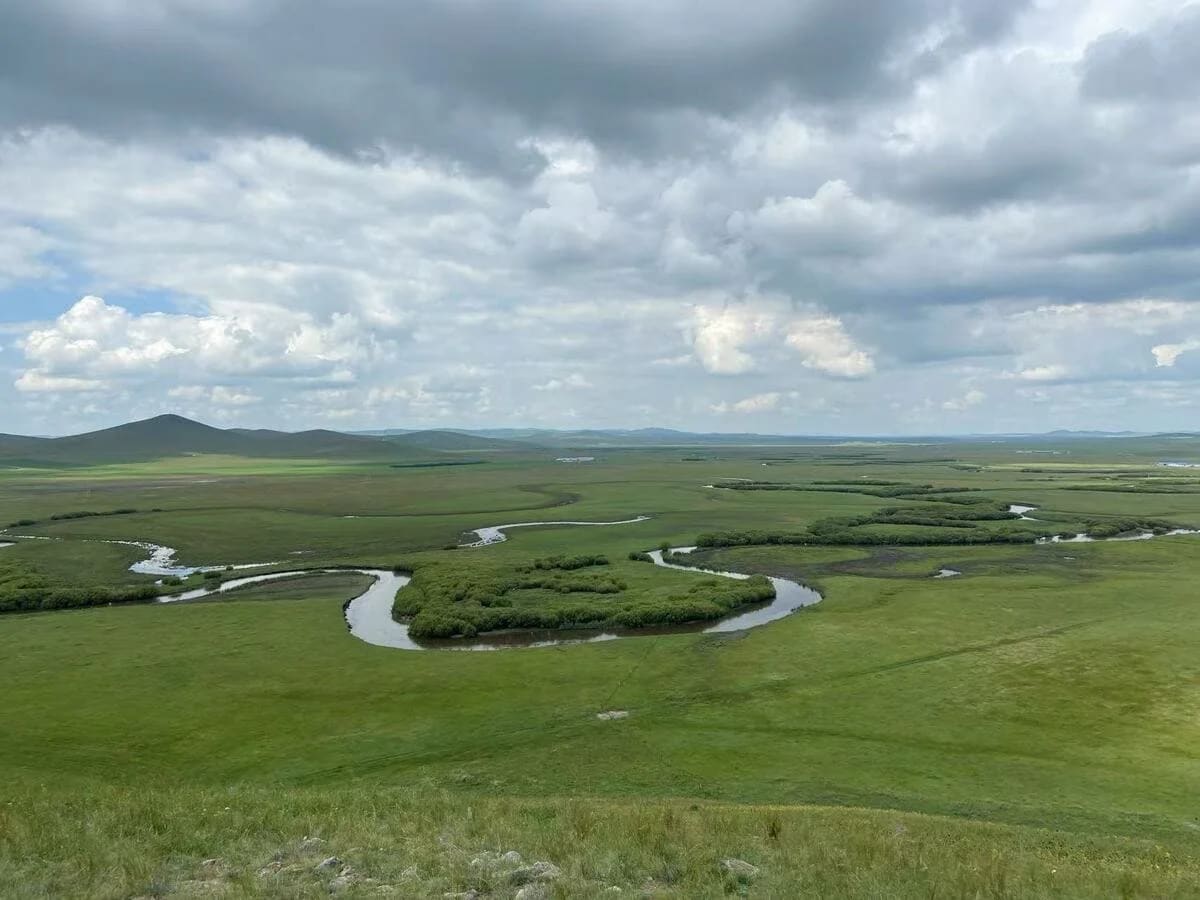 Pastizales en las altas latitudes del norte durante el Mioceno tardío