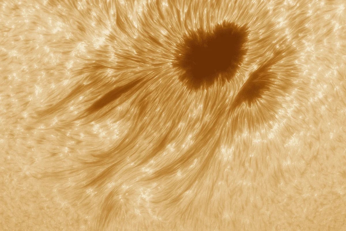 Manchas solares vistas en alta resolución con detalle de filamentos solares