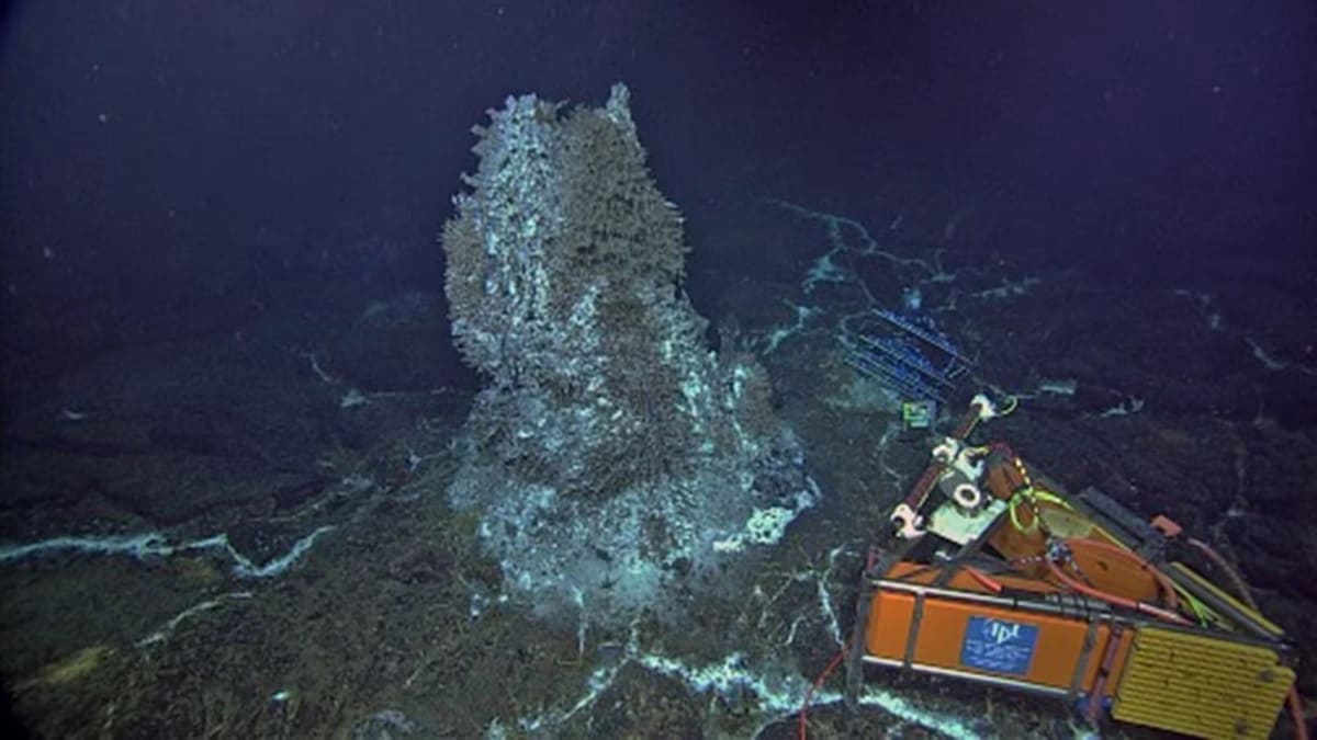Chimenea hidrotermal activa en el volcán submarino Axial Seamount con un sensor científico operando al lado