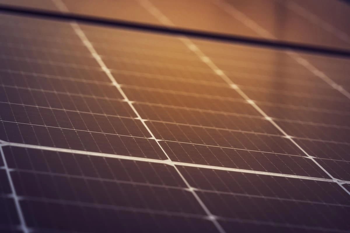 Paneles solares utilizados para la generación de energía eléctrica limpia y renovable