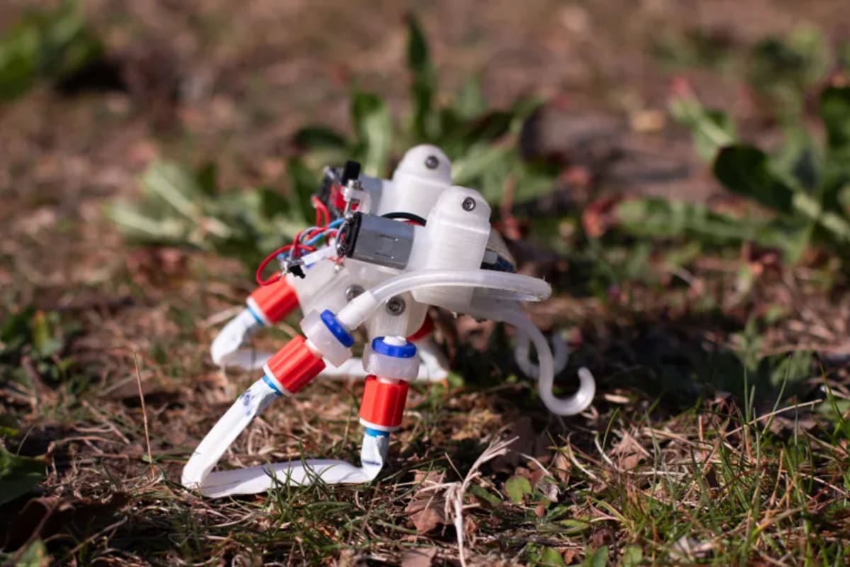 Robot blando cuadrúpedo desarrollado por AMOLF desplazándose rápidamente sobre hierba