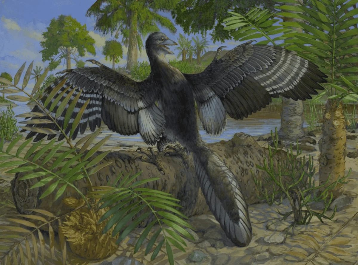 Restauración ecológica de Archaeopteryx
