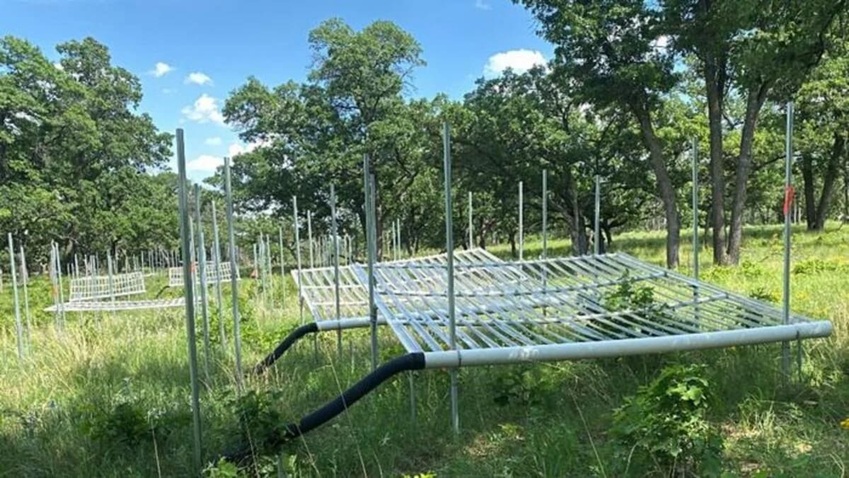 Vista del sitio de investigación ecológica a largo plazo de Cedar Creek