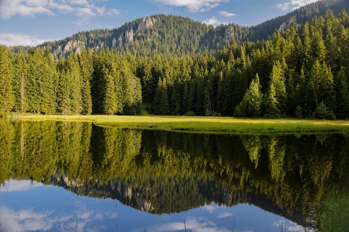 Bosques y montañas reflejados en el agua