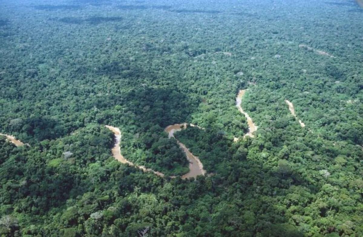 Imagen aérea del dosel del bosque de ladera en el Amazonas central, Manaus, Brasil