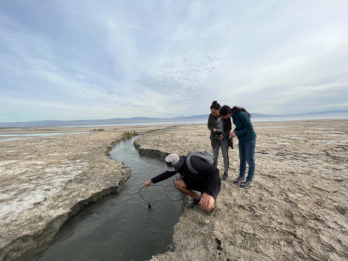 Investigadores recolectando muestras en un canal de escorrentía cerca del Mar Salton