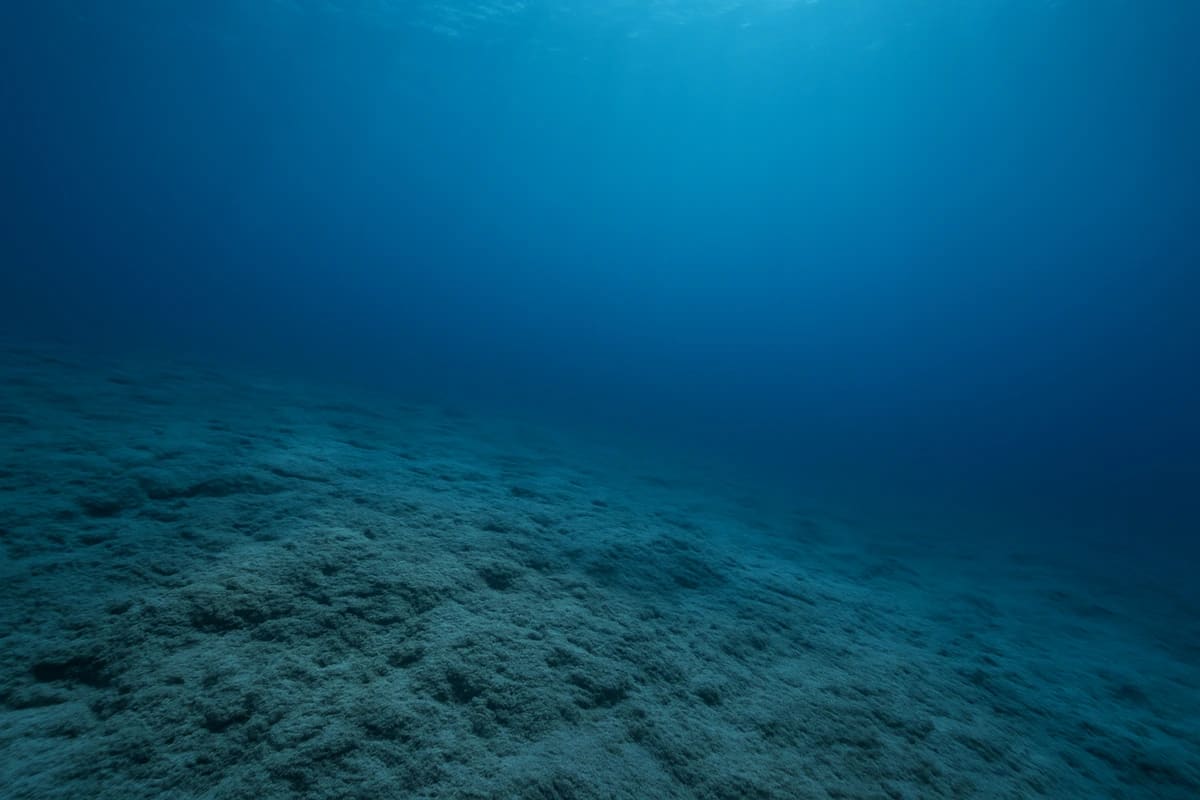 Vista natural y profunda del fondo marino, con sedimentos y luz azulada filtrándose desde la superficie