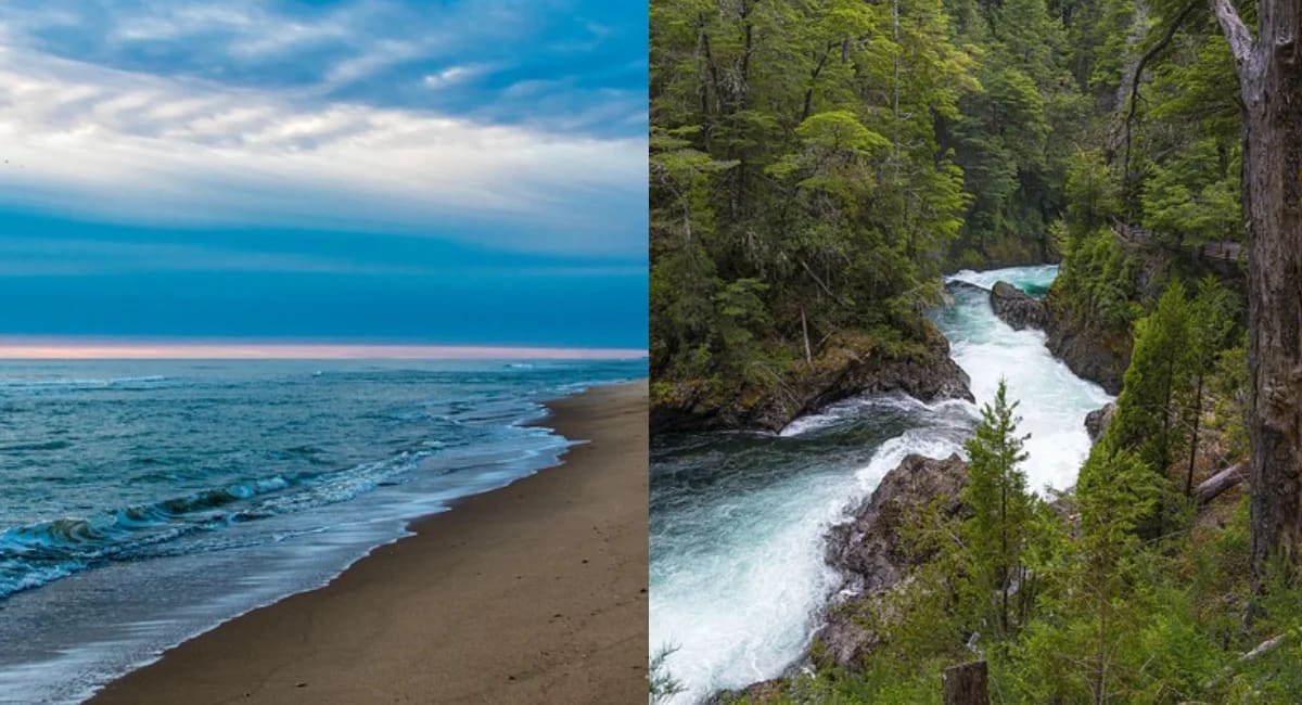Montaje de dos imágenes: a la izquierda, la orilla de una playa; a la derecha, un río caudaloso en un bosque