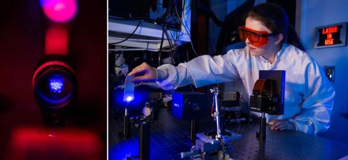 Retrato de Elizabeth Blackert