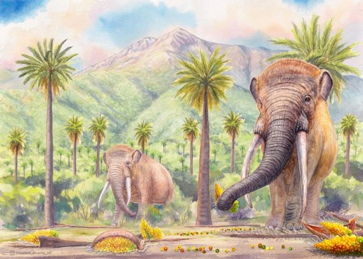 Notiomastodon platensis