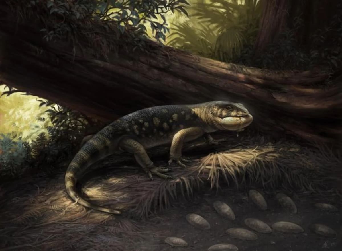 Ilustración de Bolg amondol depredando un nido de dinosaurio en su ambiente natural prehistórico