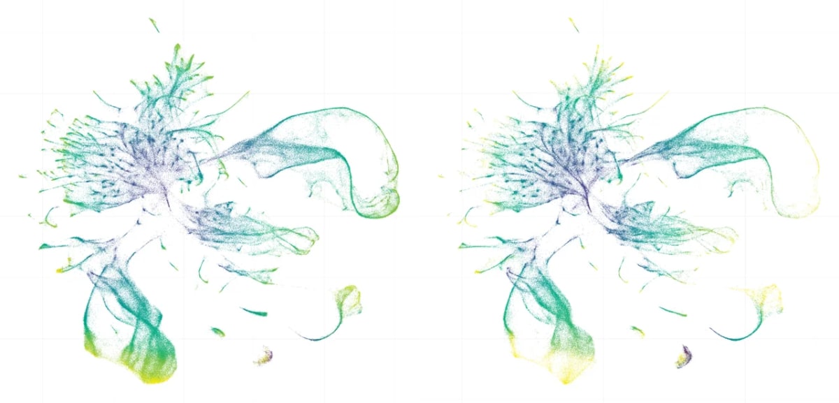 Análisis de secuenciación de ARN unicelular comparando patrones de expresión génica entre C. elegans y C. briggsae