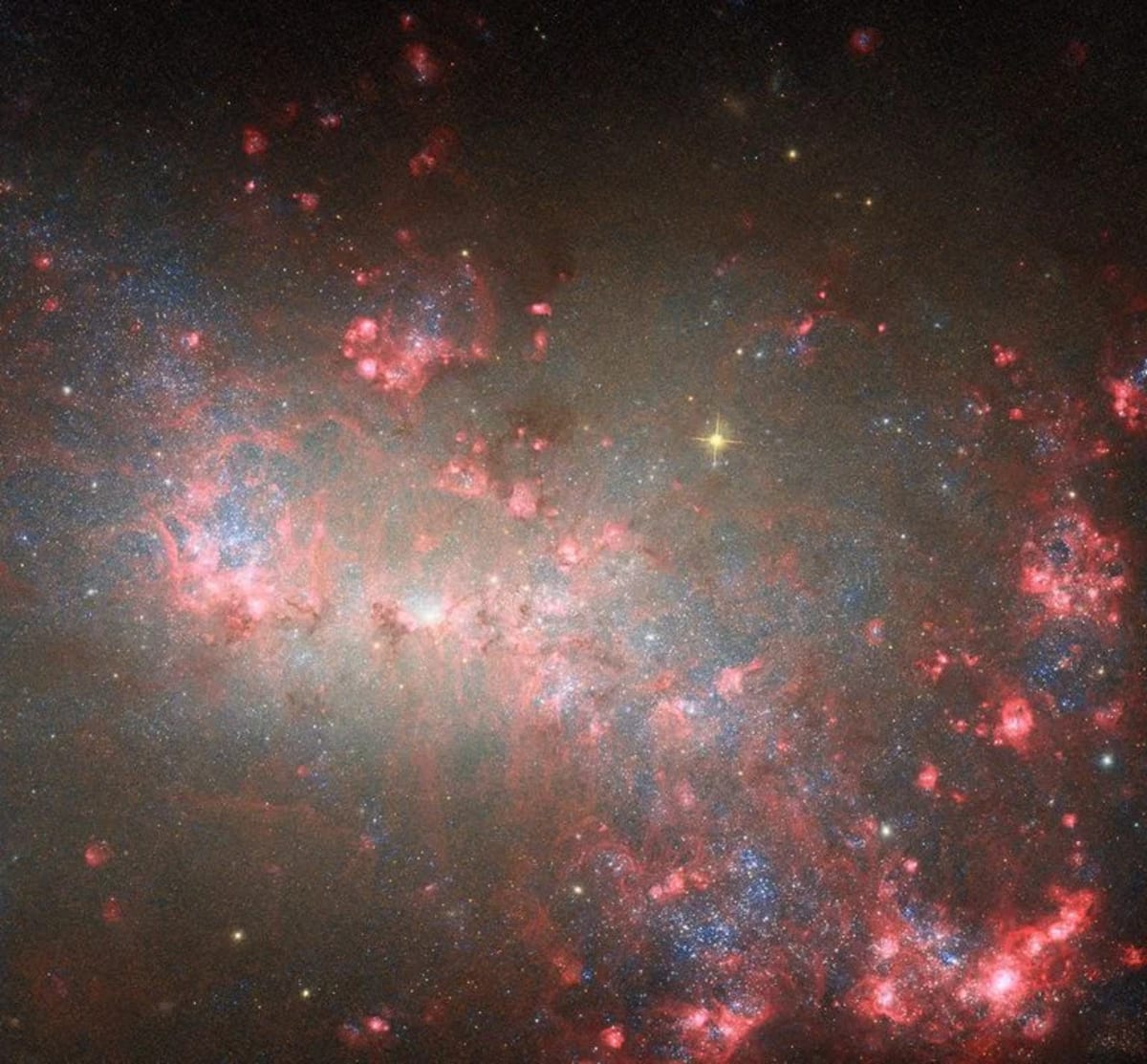 Galaxia NGC 4449