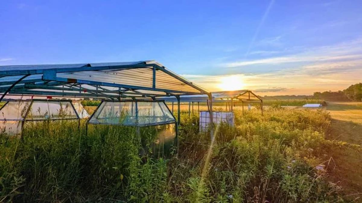 Cámaras de investigación