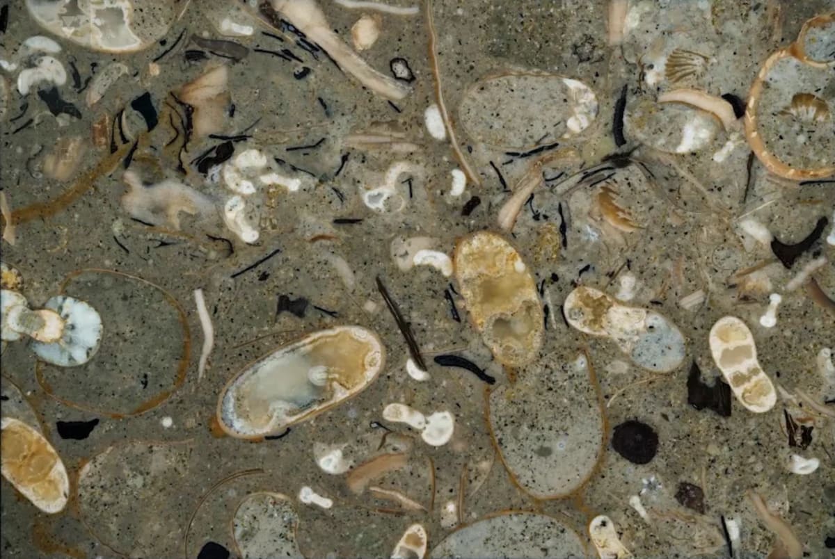 Ejemplo visual de pulido de imágenes tomográficas para análisis científico