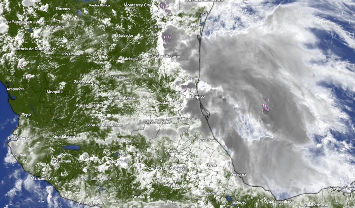 Vista satelital de la región centro-norte de México con nubosidad asociada a la tormenta tropical Barry