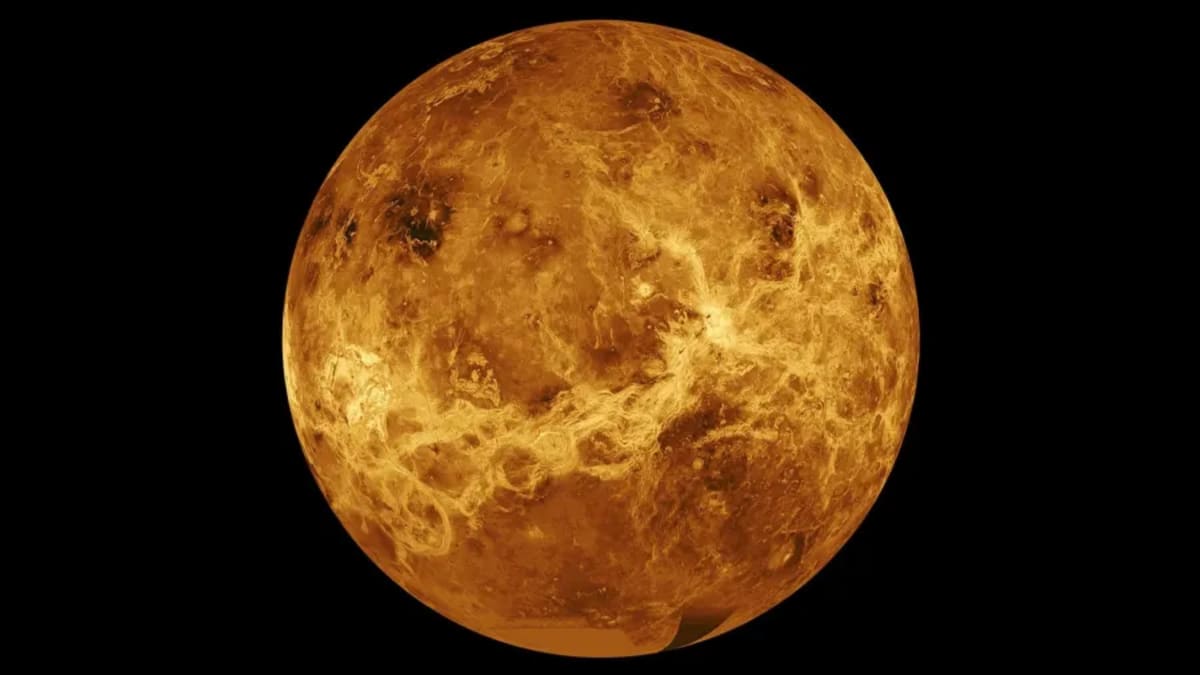 Venus