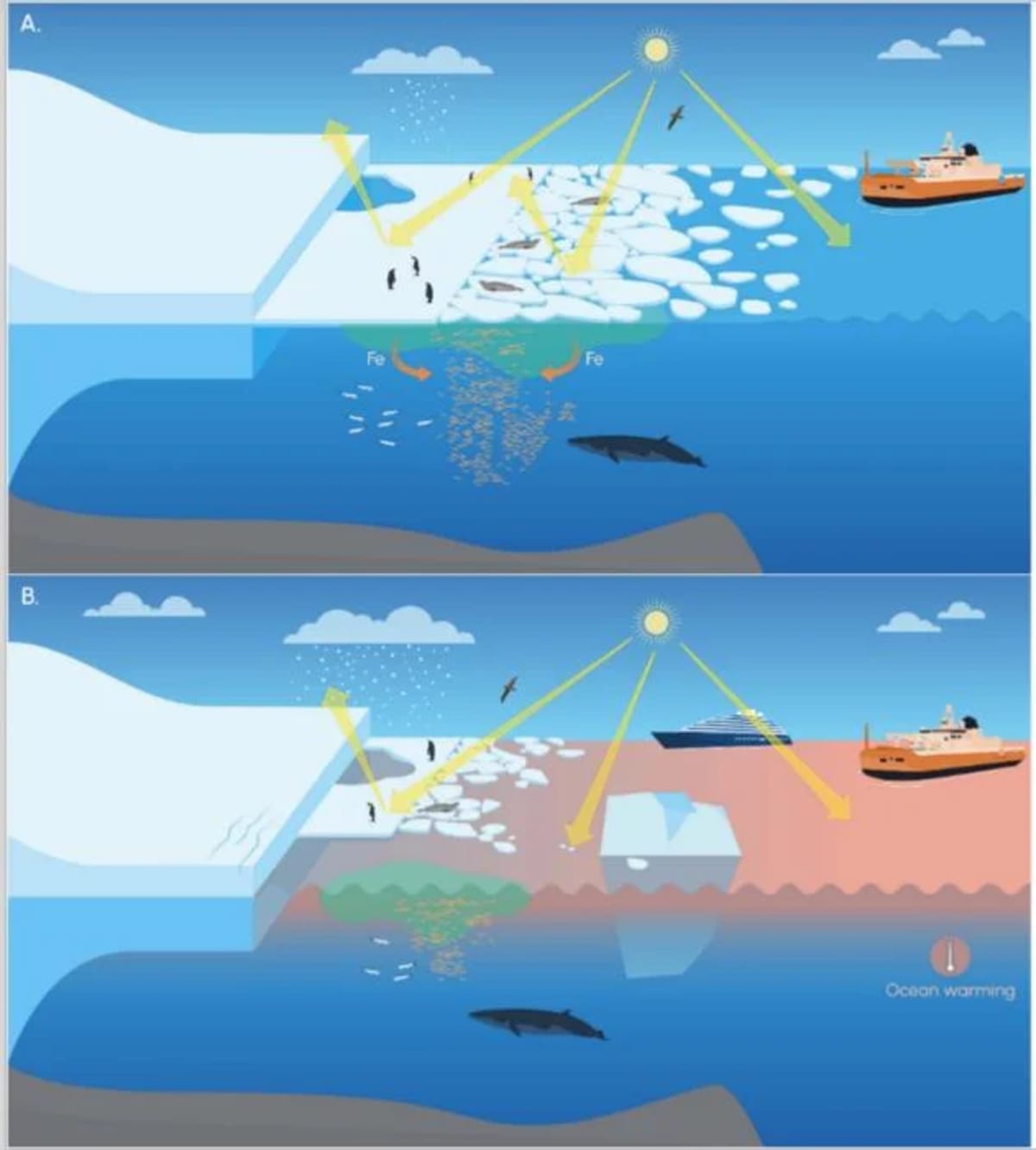 Comparativa visual de dos veranos en la Antártida