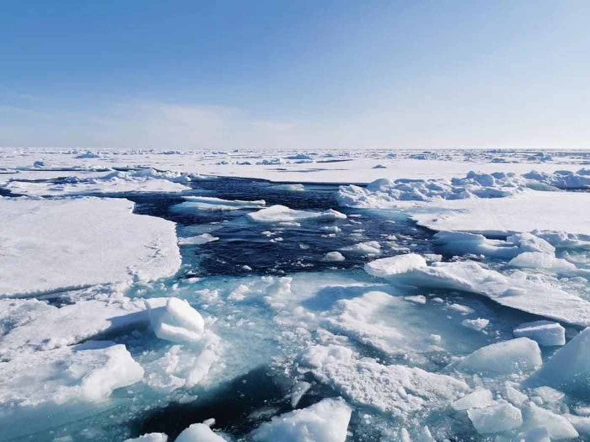 Hielo marino ártico y aguas abiertas