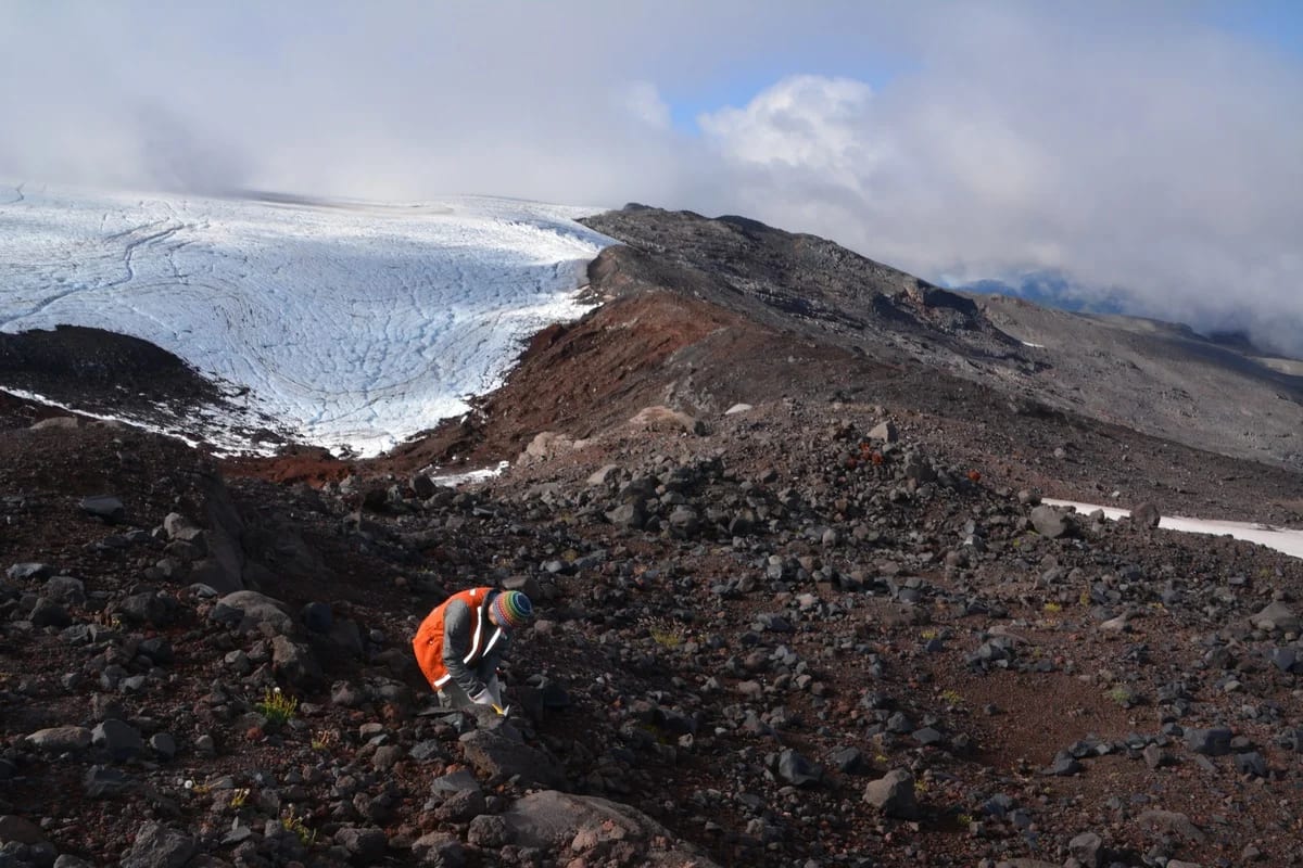 Pablo Moreno-Yaeger recolectando muestras en las inmediaciones de la caldera de Mocho-Choshuenco