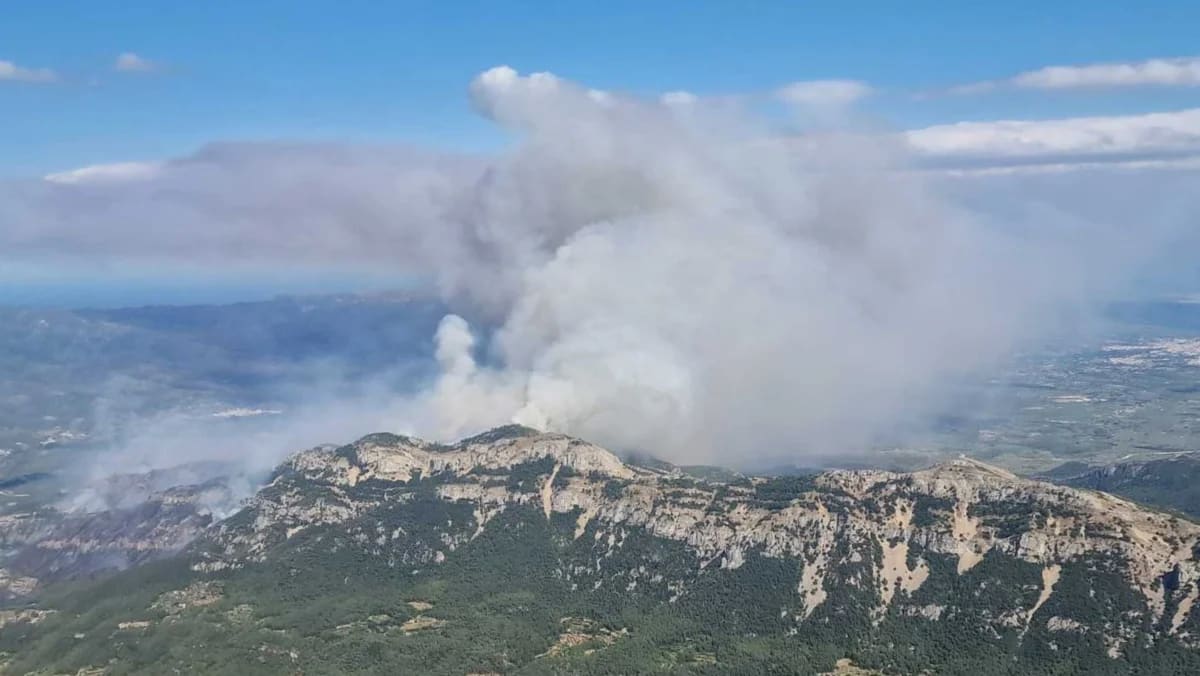 Incendio forestal en Paüls, Tarragona
