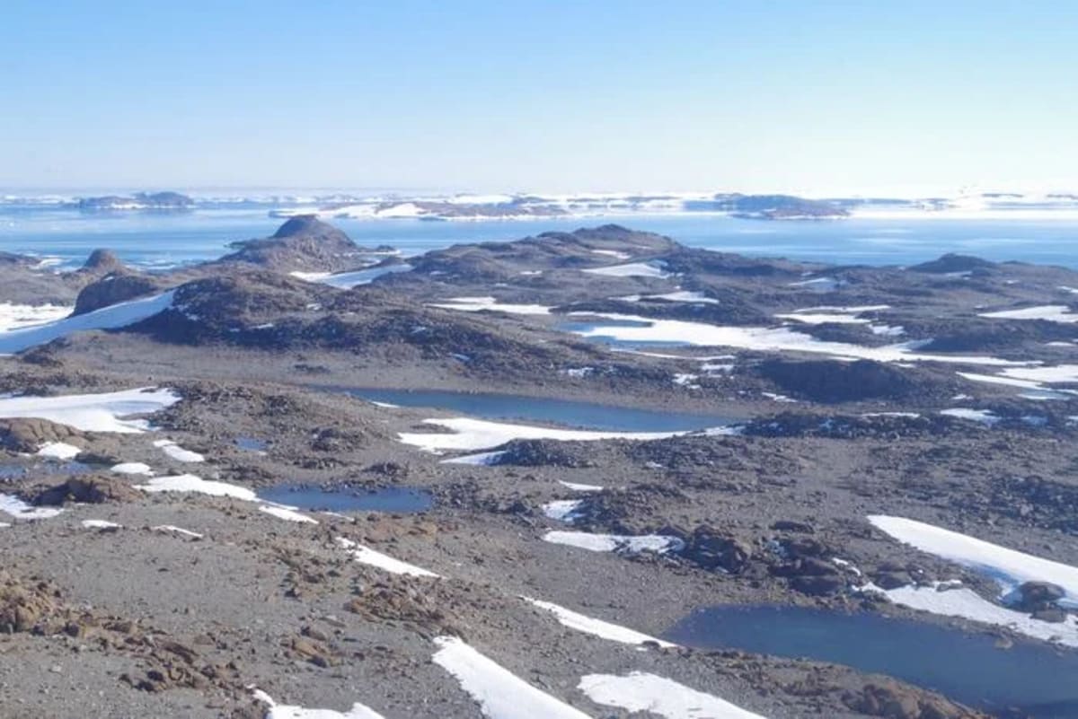 Vista aérea de Bunger Hills