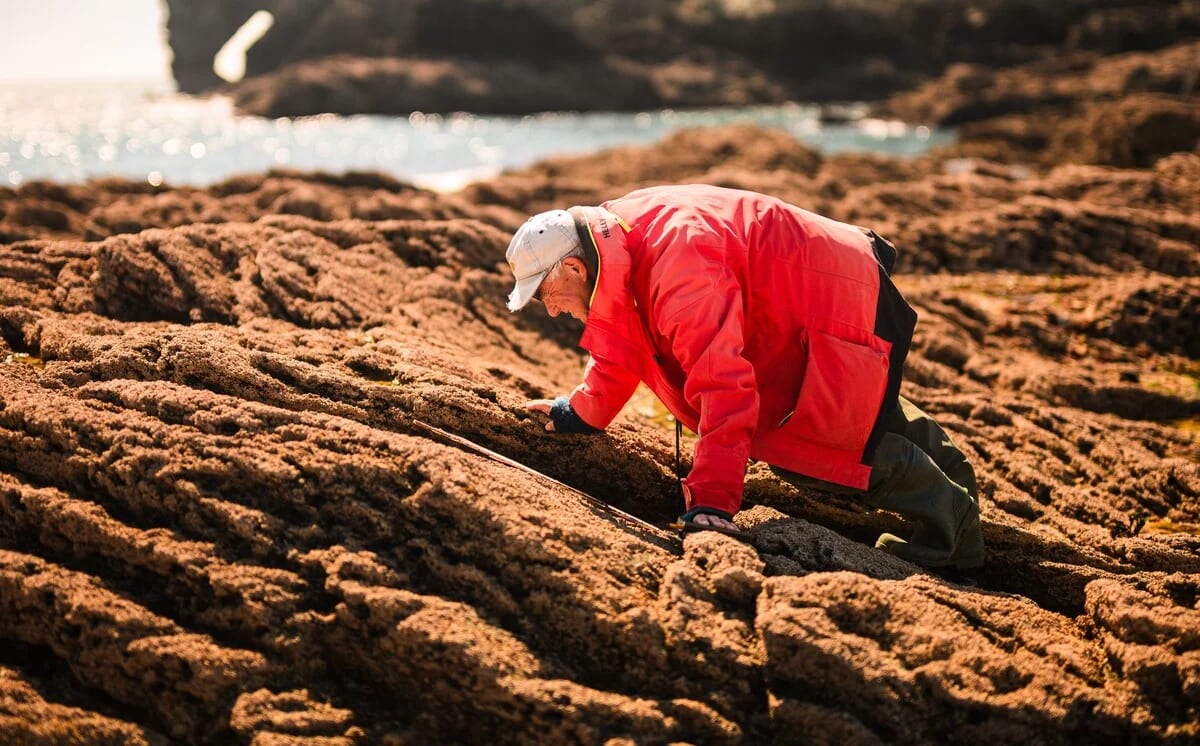 Profesor Stephen Hawkins de pie junto a la costa rocosa de Devon, Reino Unido