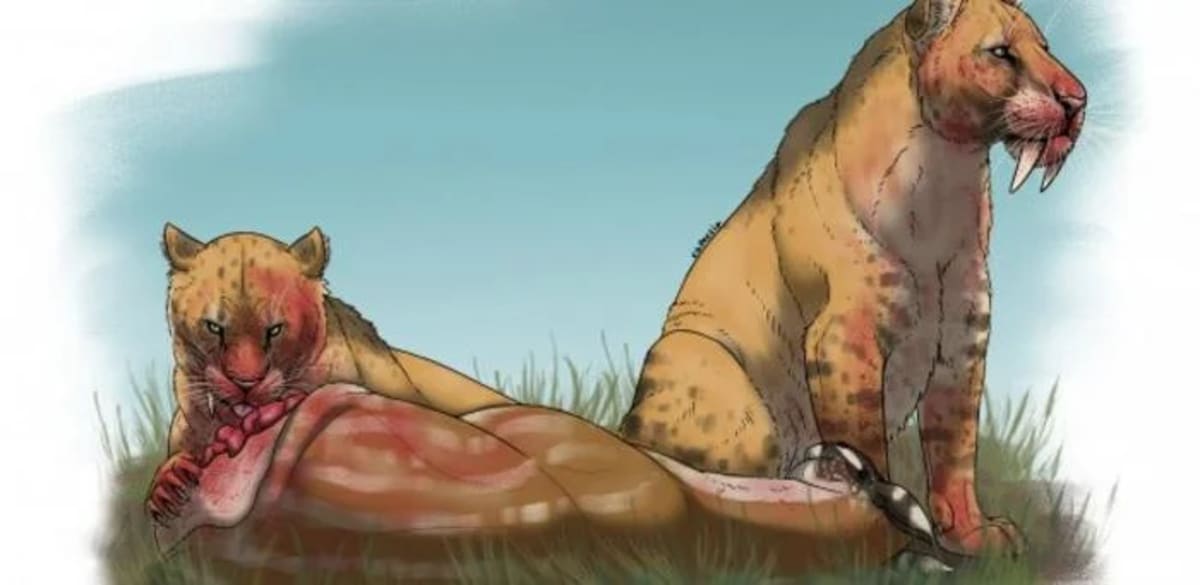 Felinos dientes de sable