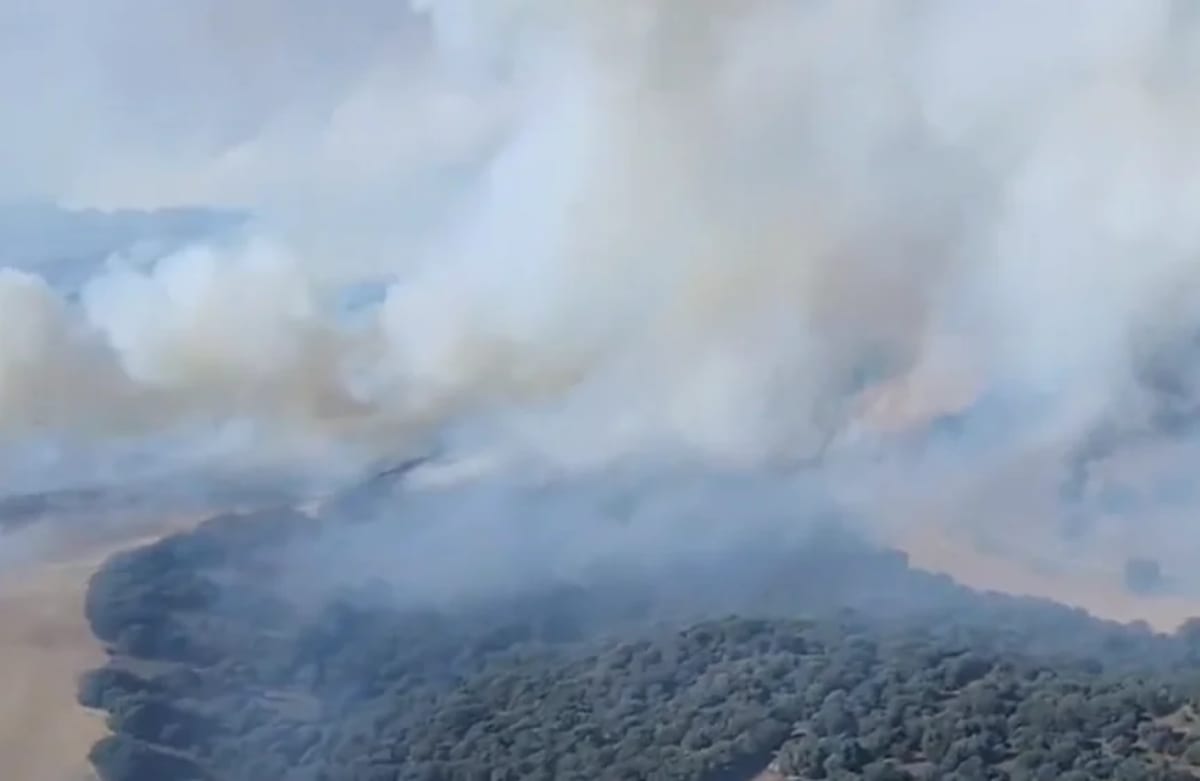 Vista aérea del incendio forestal en Monte el Viejo, Palencia, con denso humo sobre áreas de bosque y campos abiertos