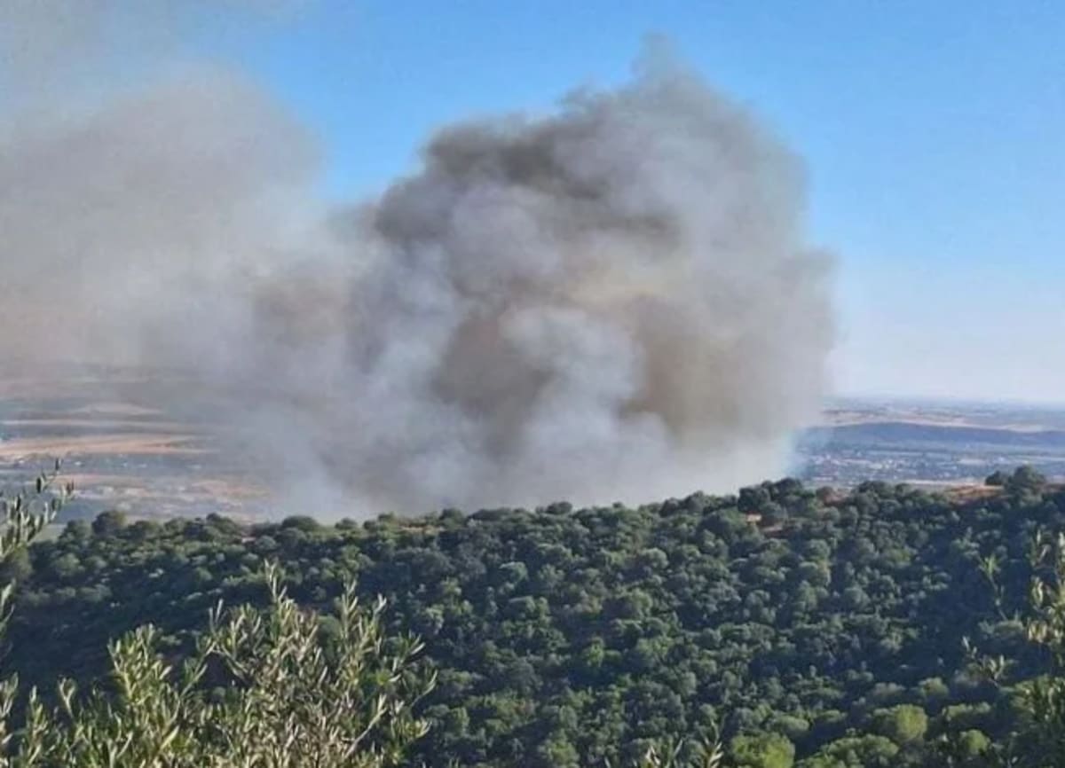 Columna de humo denso sobre la sierra de Córdoba durante un incendio forestal en verano.