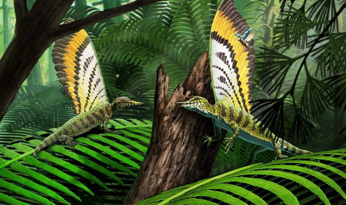 Ilustración digital de Mirasaura en un bosque prehistórico cazando insectos
